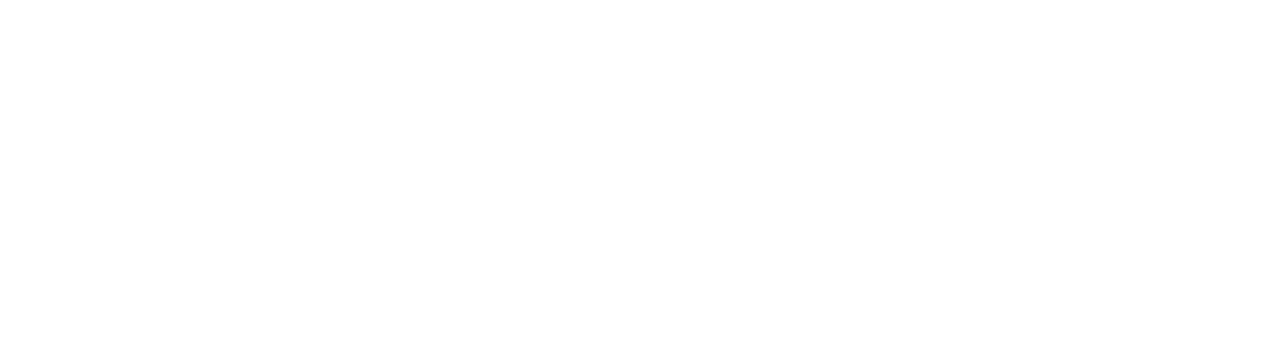 The Blaze merch Arena Jungle Tour